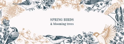 Spring garden frame designs. Vector background with birds, flowers, blooming tree branches in sketched style. Almond, willow, rowan, willow, cherry blossom banner. Hand drawn floral sketch